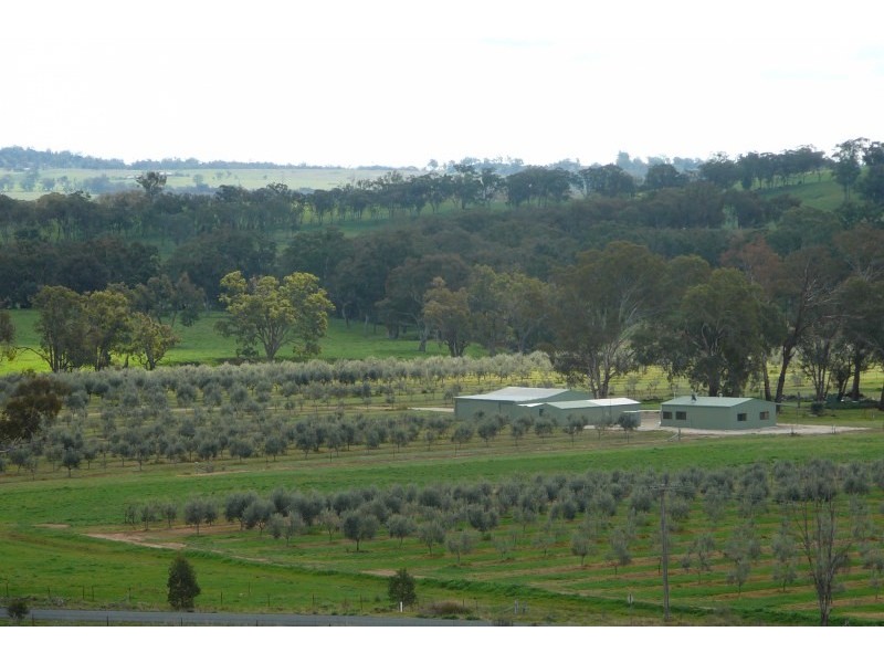 409 Botobolar Road, Mudgee NSW 2850
