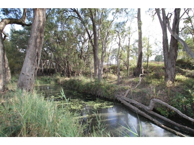 409 Botobolar Road, Mudgee NSW 2850