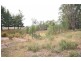 255 Iron Barks Road, Mudgee NSW 2850
