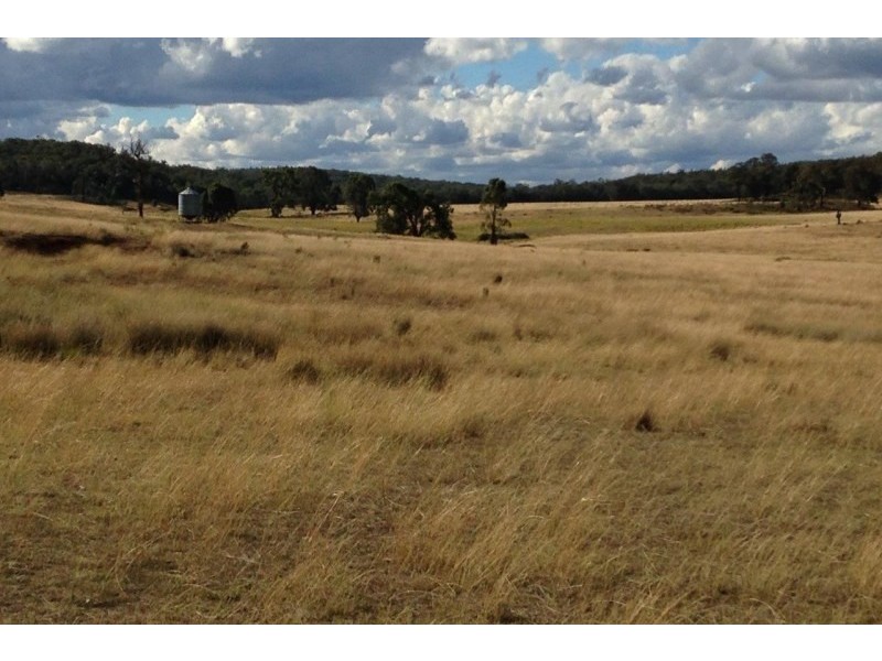 Lot 133 & 134,  Turill Bus Route Road, Mudgee NSW 2850