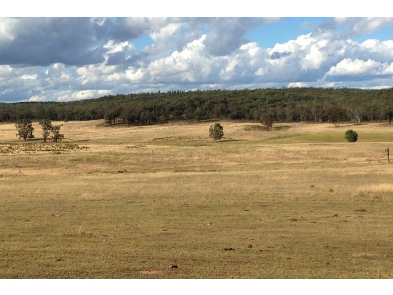 Lot 133 & 134,  Turill Bus Route Road, Mudgee NSW 2850