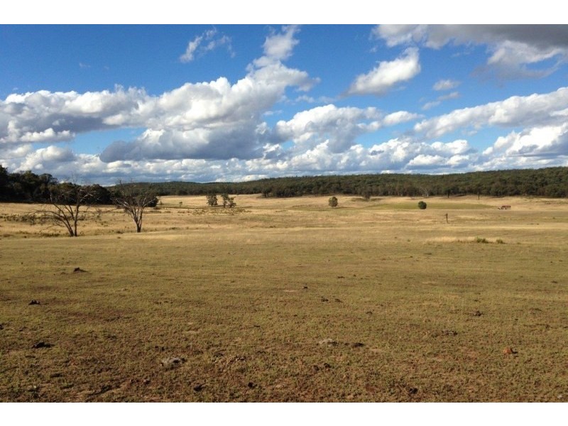 Lot 133 & 134,  Turill Bus Route Road, Mudgee NSW 2850
