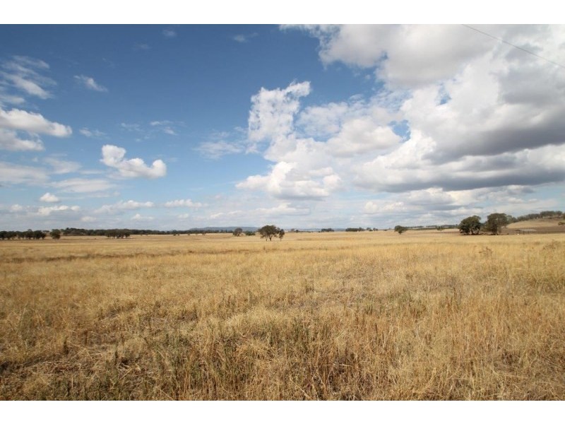 141 Grimshaw Lane, Gulgong NSW 2852