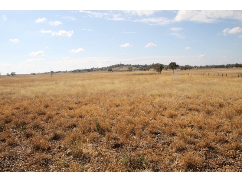 141 Grimshaw Lane, Gulgong NSW 2852