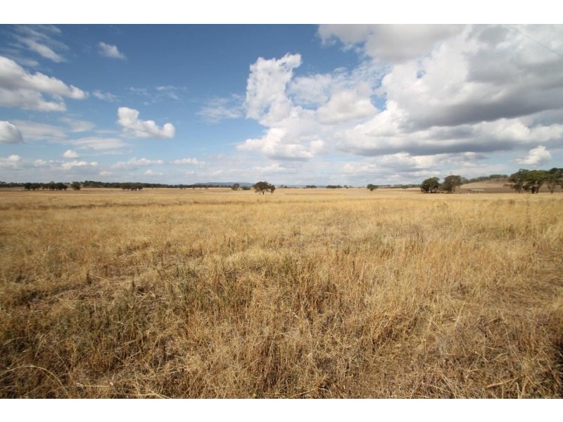 141 Grimshaw Lane, Gulgong NSW 2852