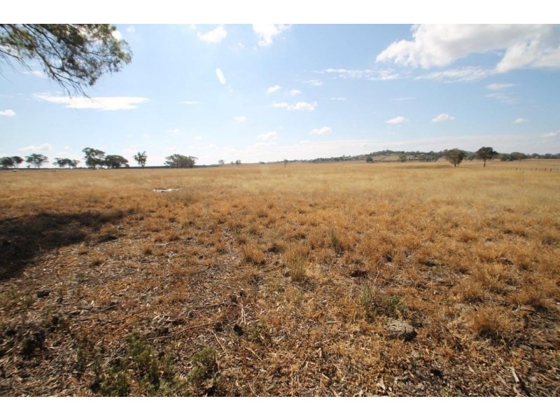 141 Grimshaw Lane, Gulgong NSW 2852