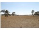 164 Grimshaw Lane, Gulgong NSW 2852