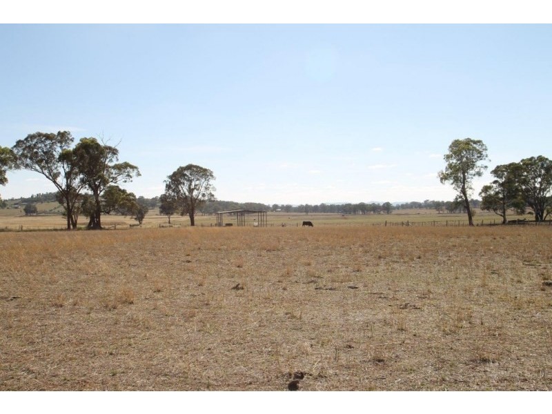 164 Grimshaw Lane, Gulgong NSW 2852
