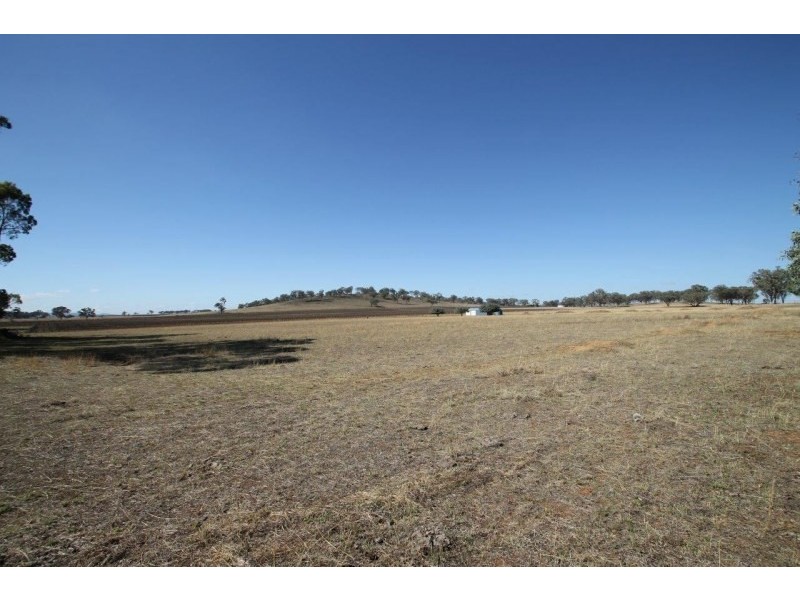 164 Grimshaw Lane, Gulgong NSW 2852