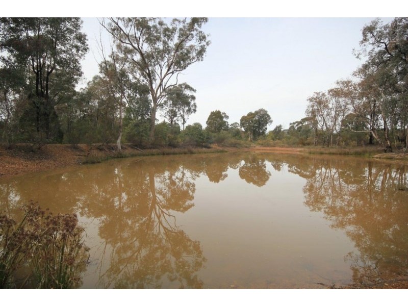 232 Robertson Road, Mudgee NSW 2850
