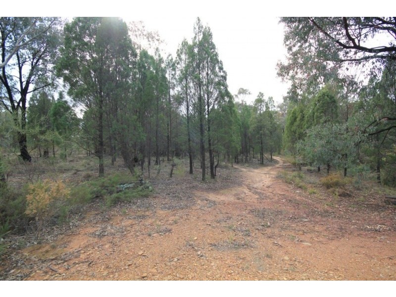 232 Robertson Road, Mudgee NSW 2850