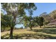 156 Mayberry Road, Mudgee NSW 2850