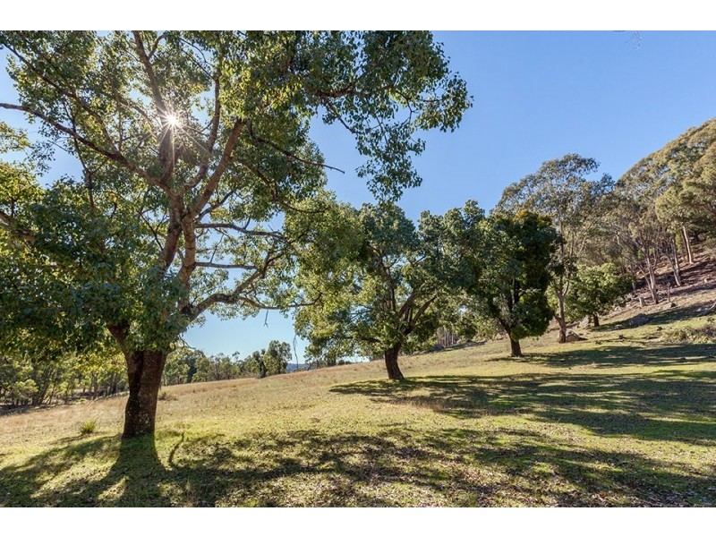 156 Mayberry Road, Mudgee NSW 2850