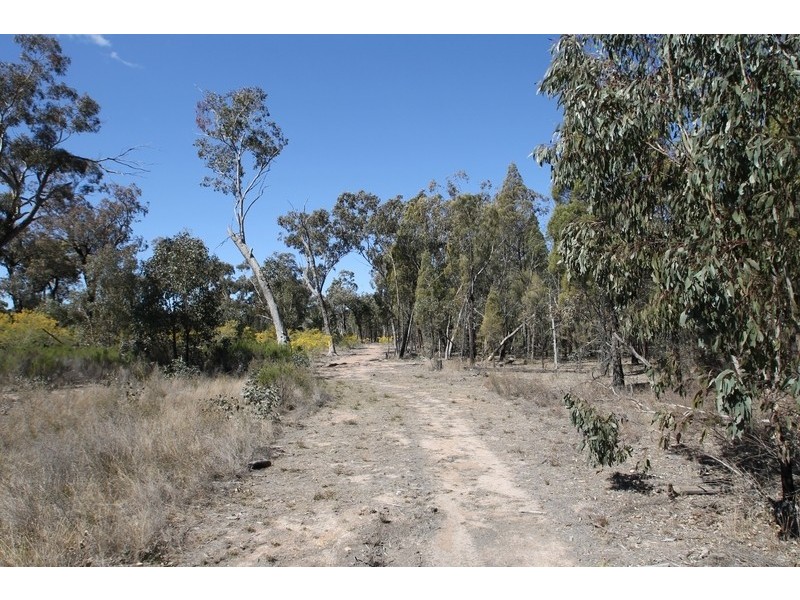 1096 Yarrawonga Road, Mudgee NSW 2850