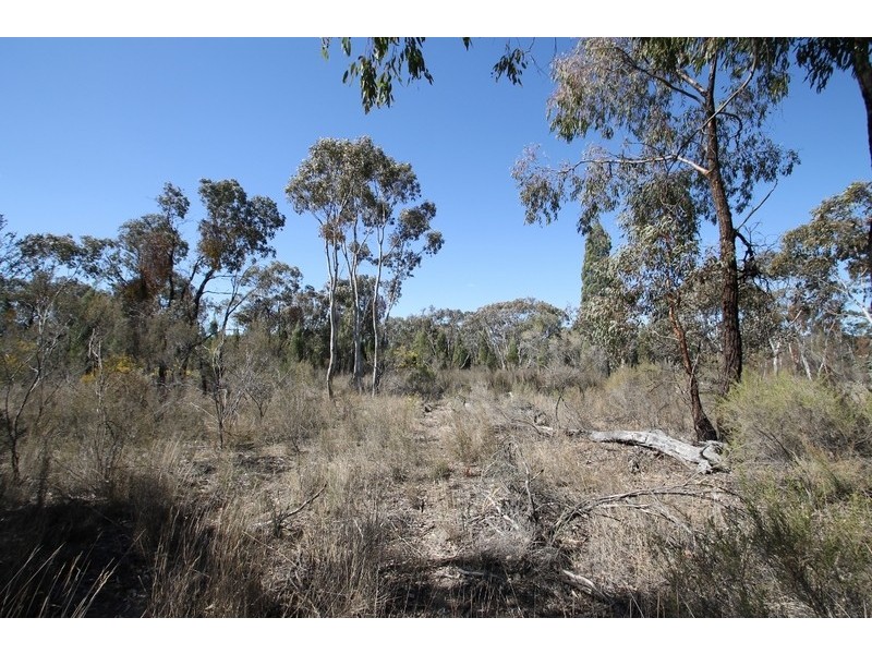 1096 Yarrawonga Road, Mudgee NSW 2850