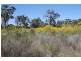 1096 Yarrawonga Road, Mudgee NSW 2850