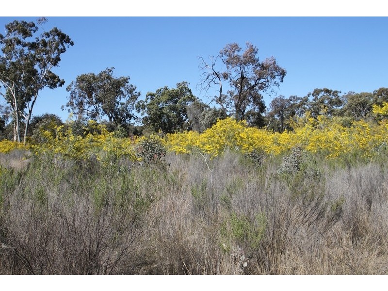 1096 Yarrawonga Road, Mudgee NSW 2850