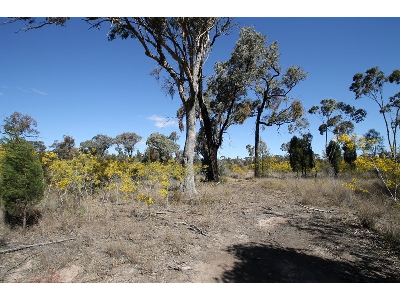1096 Yarrawonga Road, Mudgee NSW 2850