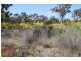 1096 Yarrawonga Road, Mudgee NSW 2850