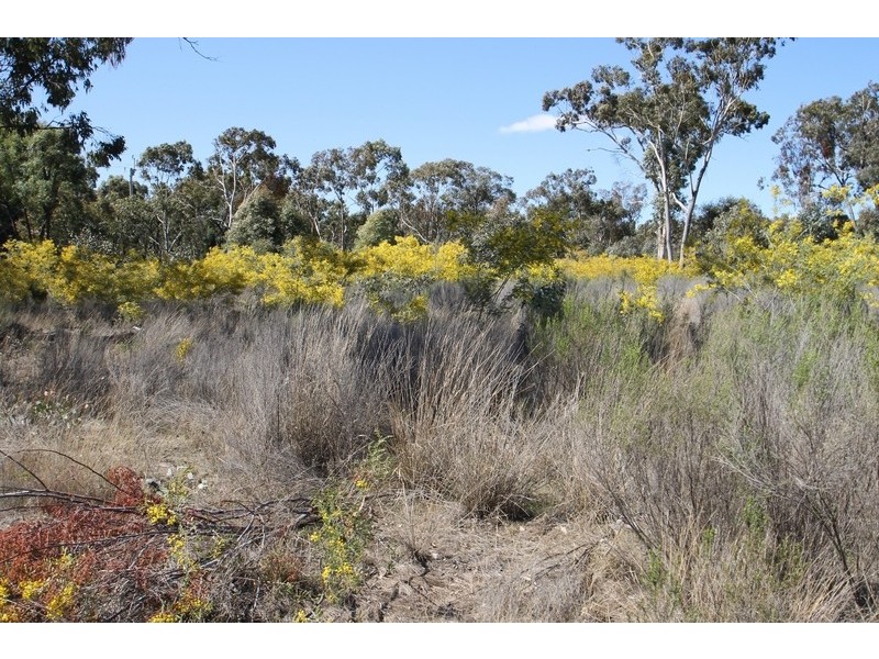 1096 Yarrawonga Road, Mudgee NSW 2850