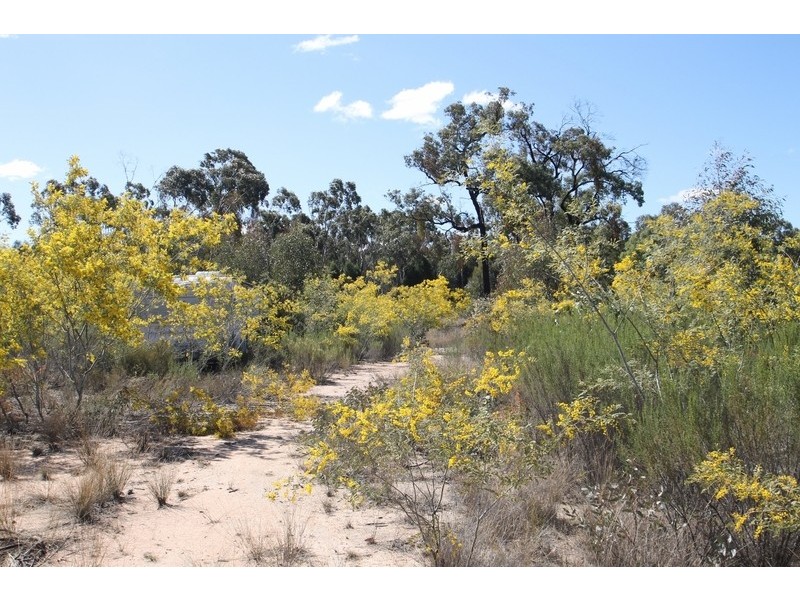1096 Yarrawonga Road, Mudgee NSW 2850