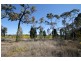1096 Yarrawonga Road, Mudgee NSW 2850