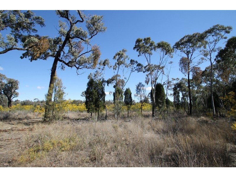 1096 Yarrawonga Road, Mudgee NSW 2850