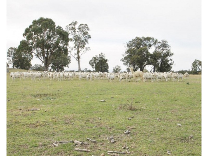 4403 & 440 Bylong Valley Way, Rylstone NSW 2849