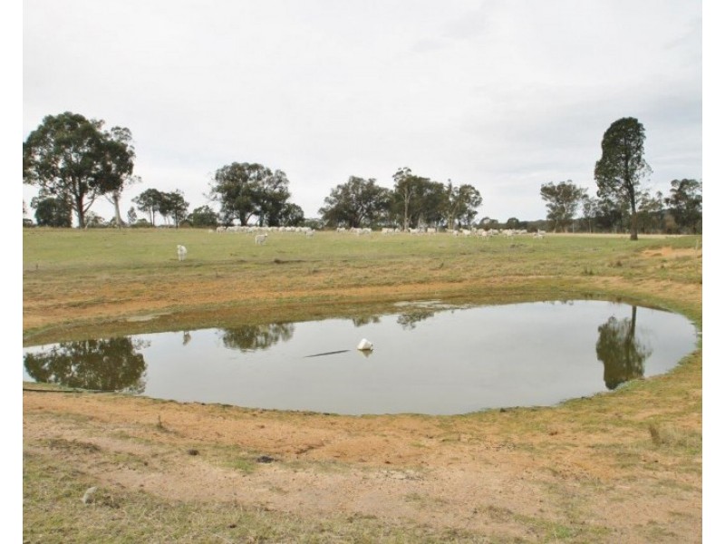 4403 & 440 Bylong Valley Way, Rylstone NSW 2849