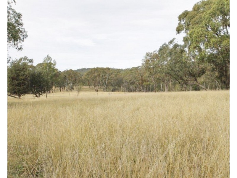 4403 & 440 Bylong Valley Way, Rylstone NSW 2849