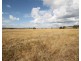 110 Ridout Lane, Gulgong NSW 2852