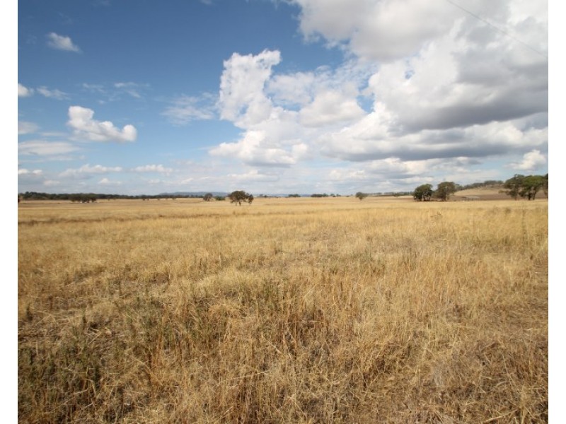110 Ridout Lane, Gulgong NSW 2852