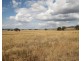 110 Ridout Lane, Gulgong NSW 2852