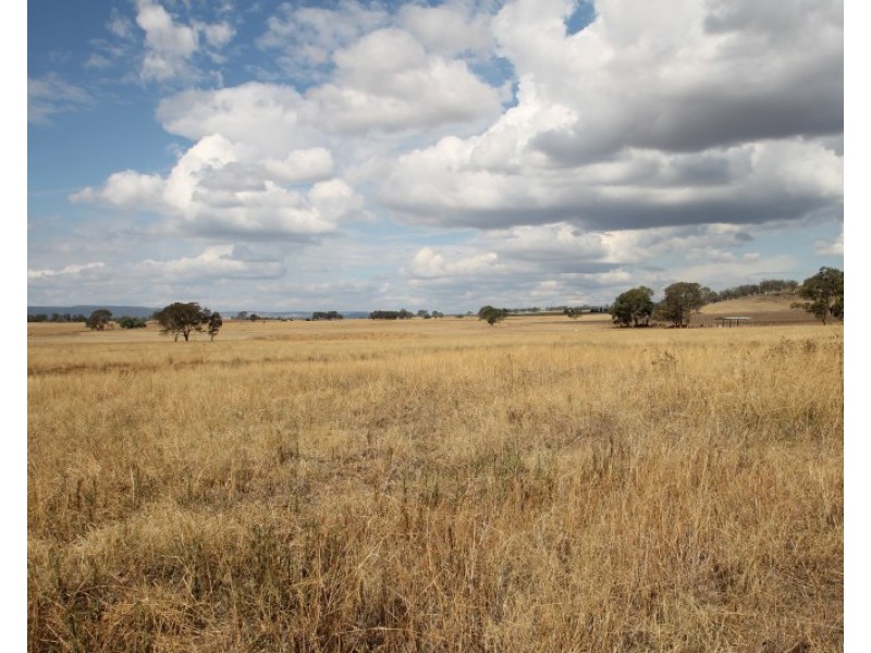 110 Ridout Lane, Gulgong NSW 2852