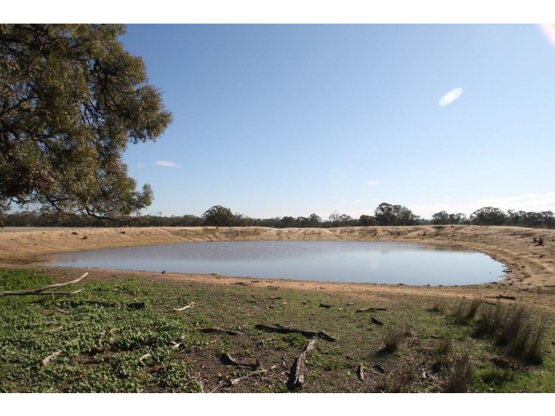 199 Gamble Creek Road, Coolah NSW 2843