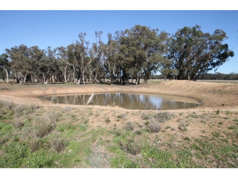 199 Gamble Creek Road, Coolah NSW 2843