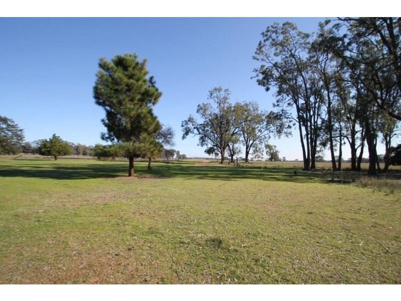 199 Gamble Creek Road, Coolah NSW 2843