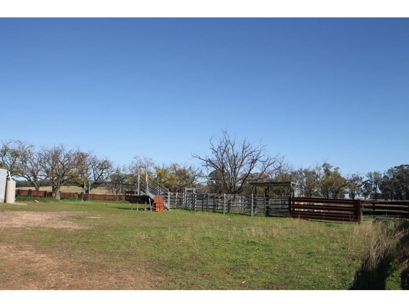 199 Gamble Creek Road, Coolah NSW 2843