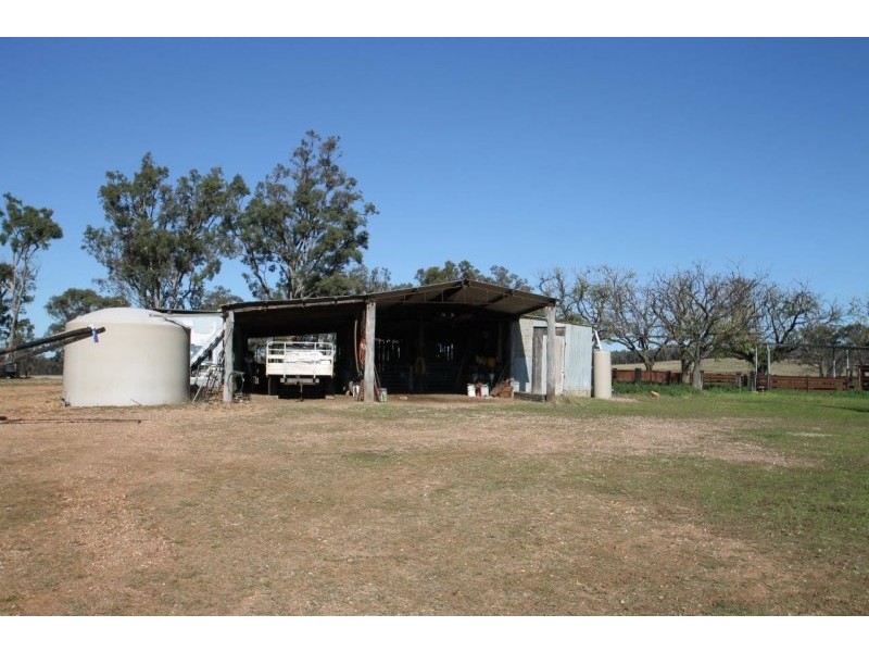 199 Gamble Creek Road, Coolah NSW 2843