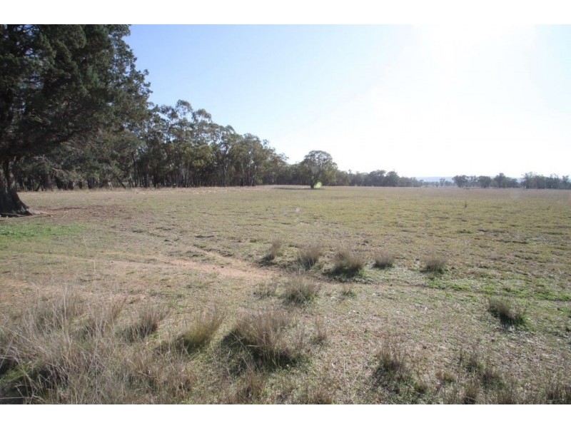 199 Gamble Creek Road, Coolah NSW 2843