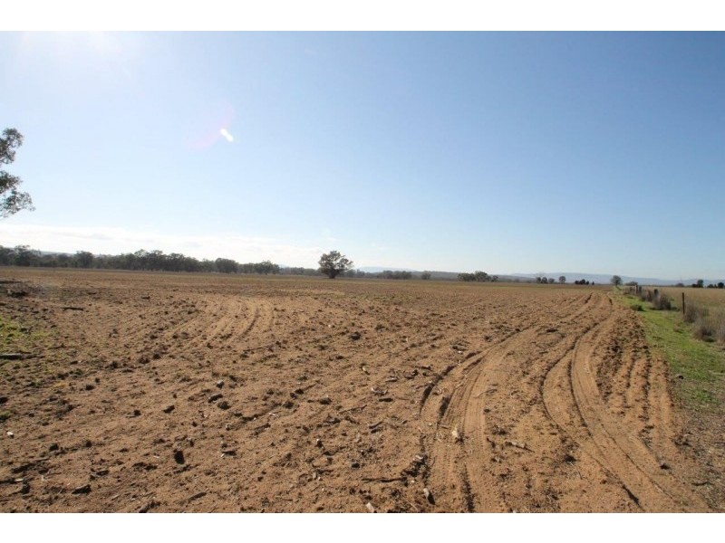 199 Gamble Creek Road, Coolah NSW 2843