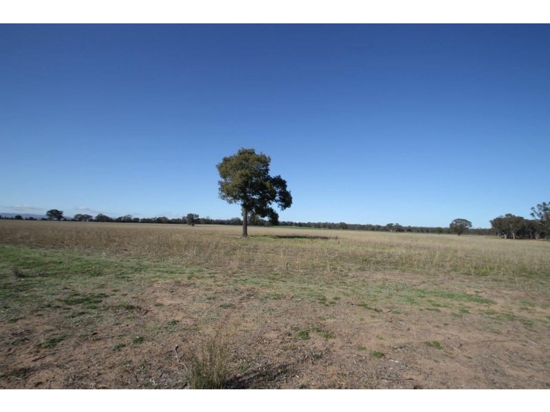 199 Gamble Creek Road, Coolah NSW 2843