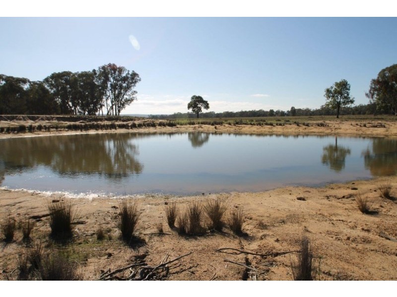 199 Gamble Creek Road, Coolah NSW 2843