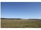 199 Gamble Creek Road, Coolah NSW 2843