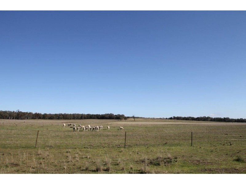 199 Gamble Creek Road, Coolah NSW 2843
