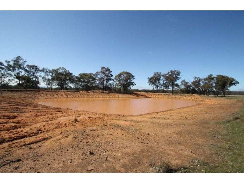 199 Gamble Creek Road, Coolah NSW 2843