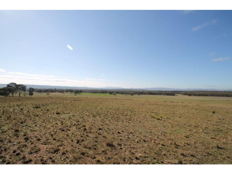 199 Gamble Creek Road, Coolah NSW 2843