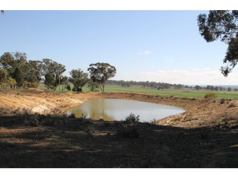 199 Gamble Creek Road, Coolah NSW 2843