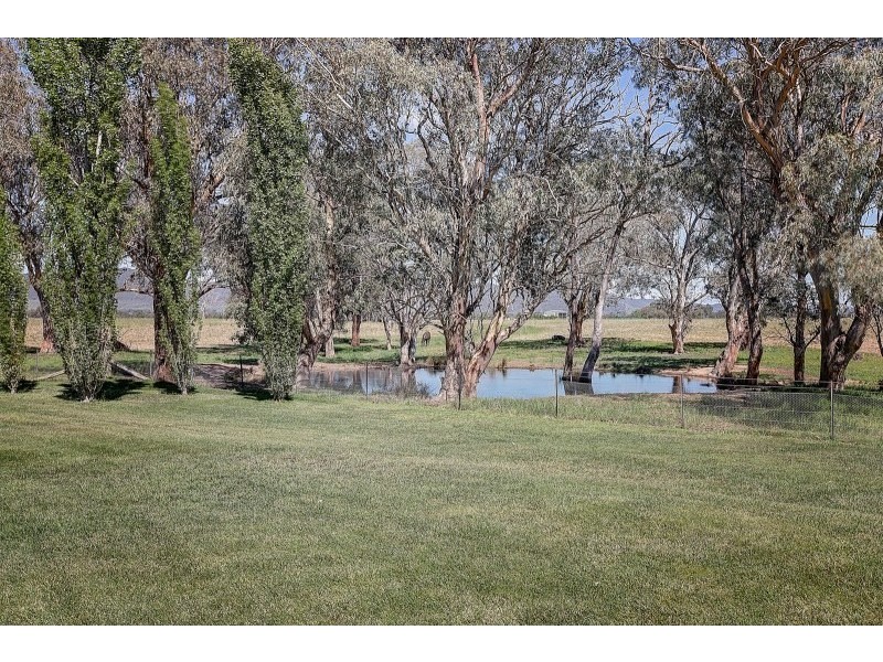 328 Burrundulla Road, Mudgee NSW 2850