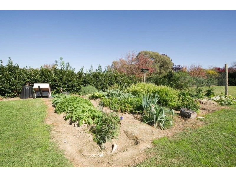 259 Putta Bucca Road, Mudgee NSW 2850